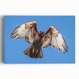 Stretched canvas wall art featuring a vibrant bird design in bold colors, showcasing intricate details and textures, perfect for adding a lively touch to any room.