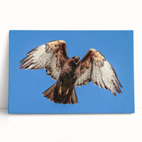 Stretched canvas wall art featuring a vibrant birds of prey design, showcasing detailed illustrations of various raptors, ideal for nature lovers and home decor.