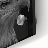 Close-up of a vibrant acrylic glass wall art piece showcasing a stylized bird design from the "Birds of Pray" collection, highlighting intricate details and vivid colors. Ideal for adding a contemporary touch to any space, this artwork is perfect for bird enthusiasts and modern decor lovers.