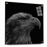 Acrylic glass wall art featuring vibrant birds in the "Birds of Pray" design, showcased from the side with visible mounting pins, perfect for modern decor.