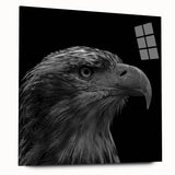 Acrylic glass wall art featuring a vibrant design of colorful birds in flight, showcased from the side, perfect for modern home decor and nature enthusiasts.