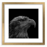 Framed wall art featuring a detailed design of birds in flight, showcasing a gold frame with a mat, ideal for home decor and nature enthusiasts.