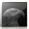 Framed acrylic wall art featuring a stylish black design of birds in flight, perfect for modern decor, showcasing intricate details and elegant craftsmanship.