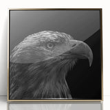 Framed acrylic wall art featuring a stunning design of birds of prey in vibrant colors, elegantly displayed with a gold frame, perfect for home decor.