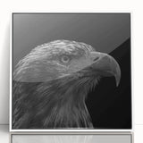 Framed wall art featuring a vibrant birds of prey design in acrylic, showcasing rich colors and intricate details, perfect for enhancing modern decor.