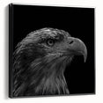 Framed canvas wall art showcasing a striking design of birds of prey in vibrant colors, viewed from the side, perfect for enhancing modern home decor.