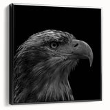 Framed canvas wall art showcasing a striking design of birds of prey in vibrant colors, viewed from the side, perfect for enhancing modern home decor.