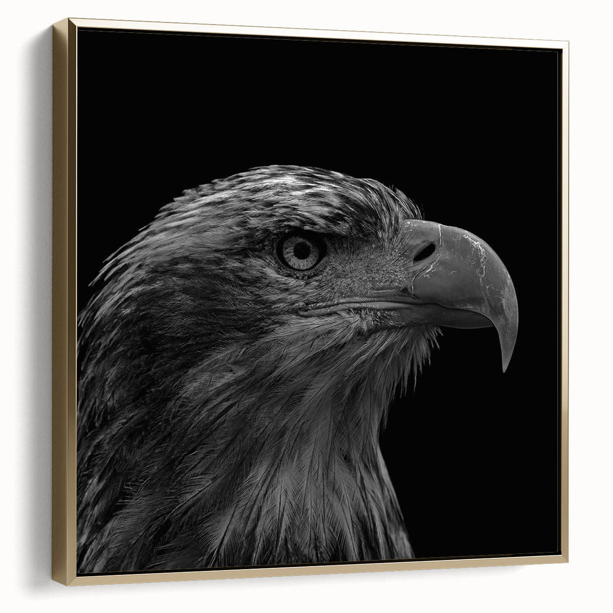 Framed wall art featuring a stunning design of birds of prey, showcasing intricate details and vibrant colors, set against a gold background, perfect for home decor.