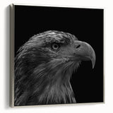 Framed canvas wall art showcasing a vibrant bird design in silver tones, elegantly presented from a side view, ideal for enhancing modern home decor.
