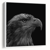 Framed wall art canvas featuring a vibrant birds of prey design, showcasing intricate details and colors, displayed against a white backdrop for a modern aesthetic.
