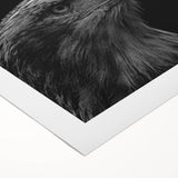 Rolled canvas showcasing a vibrant birds of prey design in rich colors, ideal for home decor, featuring intricate details and textures for a striking visual appeal.