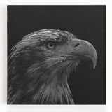 Stretched canvas wall art featuring a vibrant bird design in a colorful, abstract style, ideal for home decor, showcasing dynamic shapes and hues.