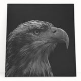 Stretched canvas wall art featuring a vibrant design of birds, showcasing detailed patterns and colors, perfect for adding a lively touch to home decor.