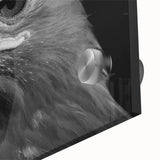 Close-up of a vibrant acrylic glass artwork depicting a majestic bird of prey, showcasing intricate details and rich colors, perfect for nature enthusiasts and home decor.