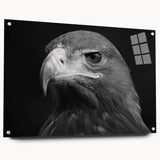 Acrylic glass wall art collection titled "Birds of Pray," featuring a vibrant, detailed design of colorful birds in flight, displayed with decorative pins, side view.