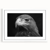 Framed wall art featuring a vibrant bird design in a white mat, showcasing intricate details and colors, ideal for home decor or nature-themed interiors.