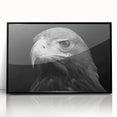Framed acrylic wall art showcasing a vibrant design of birds, featuring a sleek black frame and modern aesthetic, perfect for enhancing contemporary interiors.