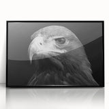 Framed acrylic wall art showcasing a vibrant design of birds, featuring a sleek black frame and modern aesthetic, perfect for enhancing contemporary interiors.