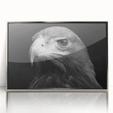 Framed acrylic wall art featuring a striking "Birds of Pray" design with intricate details and a silver frame, perfect for modern home decor. The artwork showcases vibrant colors and a contemporary aesthetic, ideal for bird lovers and art enthusiasts.