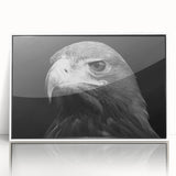 Framed wall art showcasing a vibrant "Birds of Prey" design featuring detailed illustrations of various birds, set against a white background, perfect for home decor.