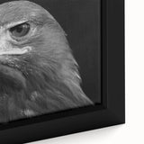 Close-up of a framed canvas wall art piece showcasing a vibrant design of birds, featuring intricate details and colors that enhance any room's decor.