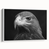 Framed canvas wall art showcasing a vibrant birds of prey design, featuring intricate details and a sleek white frame, ideal for home decor and wildlife enthusiasts.