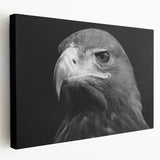 Stretched canvas artwork showcasing a vibrant bird design in shades of blue and green, perfect for adding a touch of nature-inspired decor to any space.