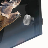 Close-up of a vibrant acrylic wall art piece depicting various birds of prey, showcasing rich colors and intricate details, perfect for wildlife enthusiasts and home decor.