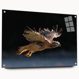 Acrylic glass wall art featuring a vibrant "Birds of Pray" design, showcasing a side view with decorative pins for easy hanging, perfect for modern home decor.