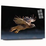 Acrylic wall art design featuring a vibrant collection of birds, displayed in a side view without pins, showcasing the intricate details and colors, perfect for home decor.