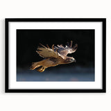 Black-framed wall art featuring a striking design of birds, titled "Birds of Pray," showcasing vibrant colors and intricate details, perfect for home decor.