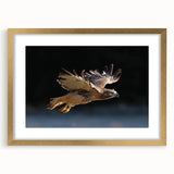 Gold-framed wall art print featuring a captivating design of birds, ideal for home decor. The artwork has a mat finish, enhancing its elegance and appeal.