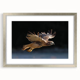 Framed wall art featuring a detailed design of various birds, showcased in a silver frame with a mat. Ideal for nature-themed decor and bird enthusiasts.