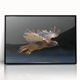 Framed acrylic wall art featuring a collection of birds in flight, showcasing vibrant colors and intricate designs, perfect for modern home decor.