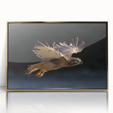 Framed acrylic wall art featuring an elegant gold "Birds of Pray" design, showcasing intricate bird illustrations against a neutral background, perfect for modern decor.