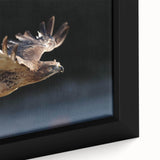 Close-up of a framed canvas wall art piece depicting a vibrant collection of birds, showcasing intricate details and rich colors, perfect for enhancing home decor.