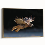 Framed wall art featuring a gold-accented design of birds in flight, showcasing vibrant colors and intricate details, perfect for home decor or art collectors.