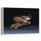 Framed wall art featuring a vibrant birds of prey design on a white canvas, showcasing intricate details and a sleek side view, ideal for home decor.