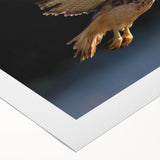 Rolled canvas showcasing a vibrant birds of prey wall art design, featuring detailed illustrations of various raptors in vivid colors, perfect for nature enthusiasts.