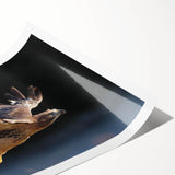 Colorful wall art print featuring an array of birds, showcasing intricate designs and vibrant colors, ideal for enhancing home decor or art collections.