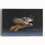 Stretched canvas wall art showcasing a vibrant birds of prey design, featuring intricate details and rich colors, ideal for nature enthusiasts and home decor.