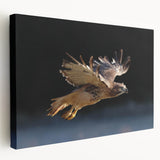 Stretched canvas wall art showcasing a vibrant design of birds in flight, featuring rich colors and intricate details, ideal for enhancing modern home decor.