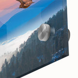 Close-up of an acrylic glass wall art piece showcasing a vibrant Birds of Prey design, featuring intricate details and vivid colors, ideal for nature enthusiasts and modern decor.