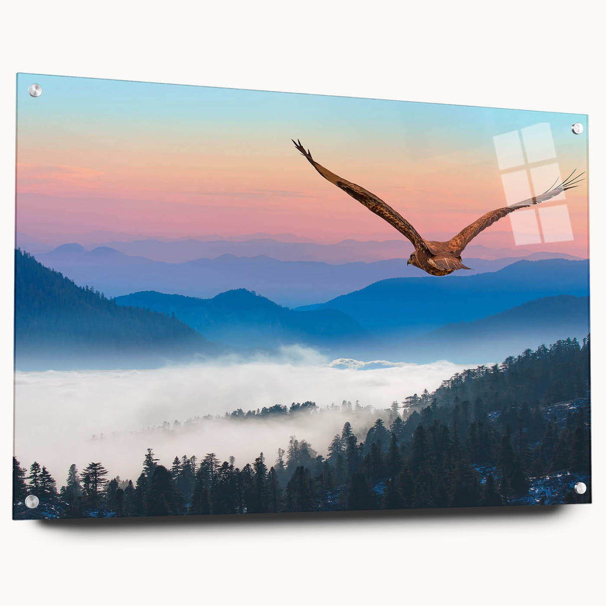 Acrylic glass wall art featuring a detailed design of birds of prey, displayed in a stylish side view with metallic pins, perfect for nature enthusiasts and home decor.
