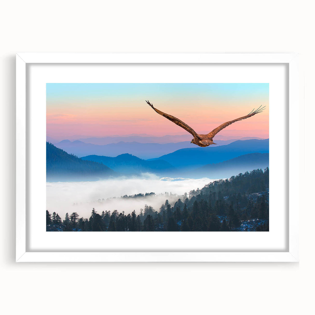 Framed wall art featuring a vibrant collection of birds, showcasing intricate designs in a white mat, perfect for enhancing home decor.