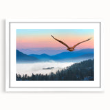 Framed wall art featuring a vibrant collection of birds, showcasing intricate designs in a white mat, perfect for enhancing home decor.