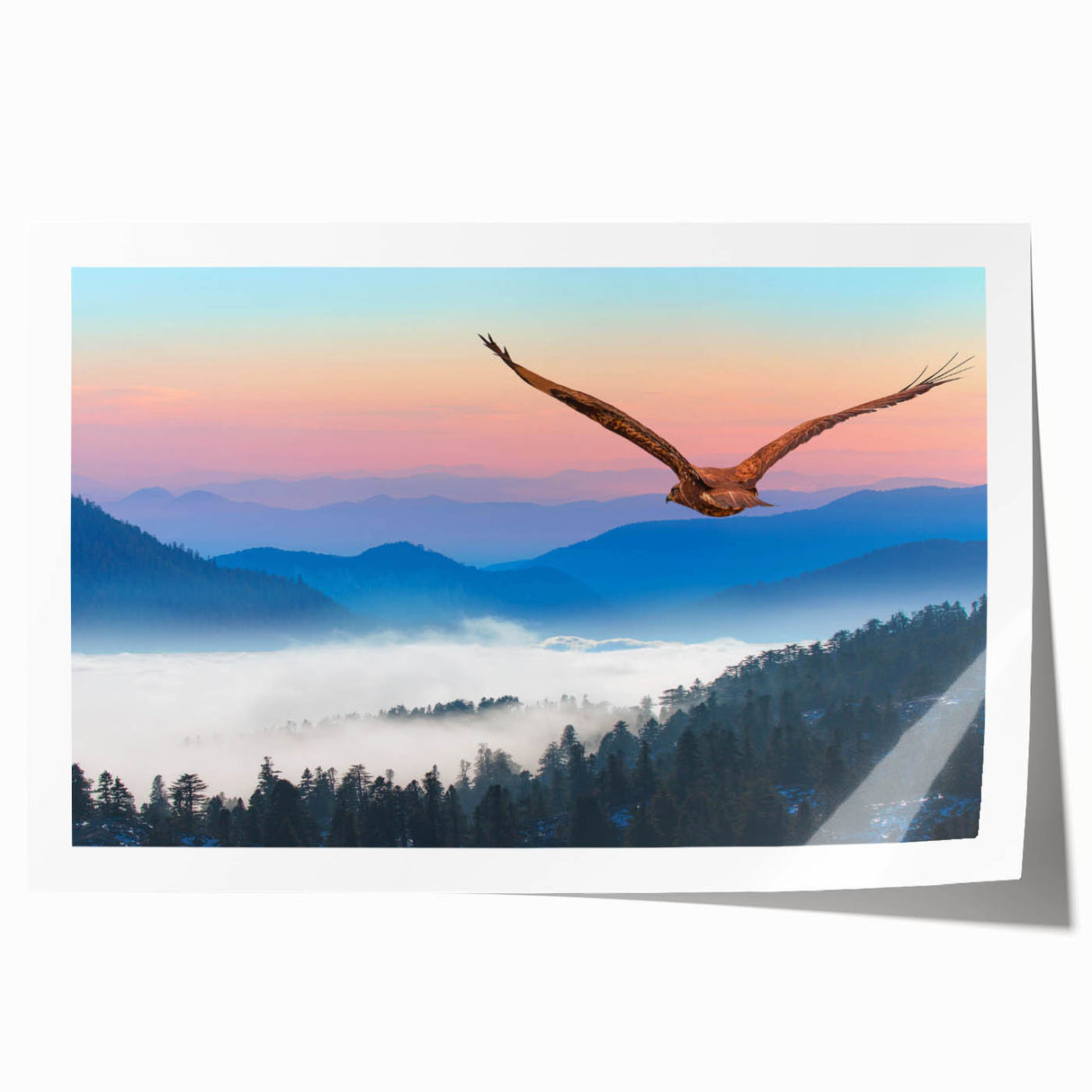 Rolled print showcasing a vibrant birds of prey design, featuring detailed illustrations of various raptors on a textured background, perfect for wildlife-themed decor.