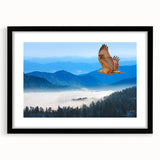 Framed wall art featuring a striking "Birds of Prey" design in black, showcasing intricate bird illustrations with elegant matting, perfect for modern decor.