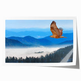 Vibrant rolled print of a bird-themed wall art collection, showcasing intricate designs and vivid colors, ideal for home decor or art enthusiasts.