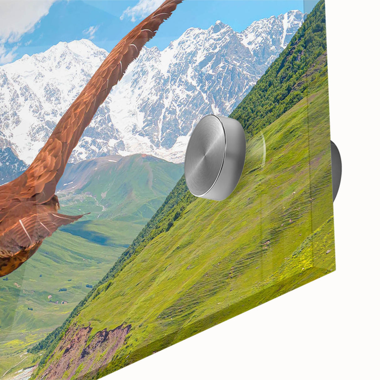 Close-up of a vibrant acrylic glass wall art piece featuring a detailed design of birds, showcasing intricate colors and textures, perfect for home decor.